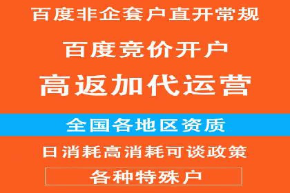 SEM竞价代运营实战技巧与案例